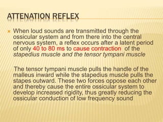 ATTENATION REFLEX
 When loud sounds are transmitted through the
ossicular system and from there into the central
nervous system, a reflex occurs after a latent period
of only 40 to 80 ms to cause contraction of the
stapedius muscle and the tensor tympani muscle
The tensor tympani muscle pulls the handle of the
malleus inward while the stapedius muscle pulls the
stapes outward. These two forces oppose each other
and thereby cause the entire ossicular system to
develop increased rigidity, thus greatly reducing the
ossicular conduction of low frequency sound
 