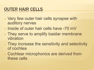 OUTER HAIR CELLS
 Very few outer hair cells synapse with
auditory nerves
 Inside of outer hair cells have -70 mV
 They serve to amplify basilar membrane
vibration
 They increase the sensitivity and selectivity
of cochlea
 Cochlear microphonics are derived from
these cells
 