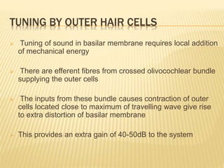 TUNING BY OUTER HAIR CELLS
 Tuning of sound in basilar membrane requires local addition
of mechanical energy
 There are efferent fibres from crossed olivocochlear bundle
supplying the outer cells
 The inputs from these bundle causes contraction of outer
cells located close to maximum of travelling wave give rise
to extra distortion of basilar membrane
 This provides an extra gain of 40-50dB to the system
 