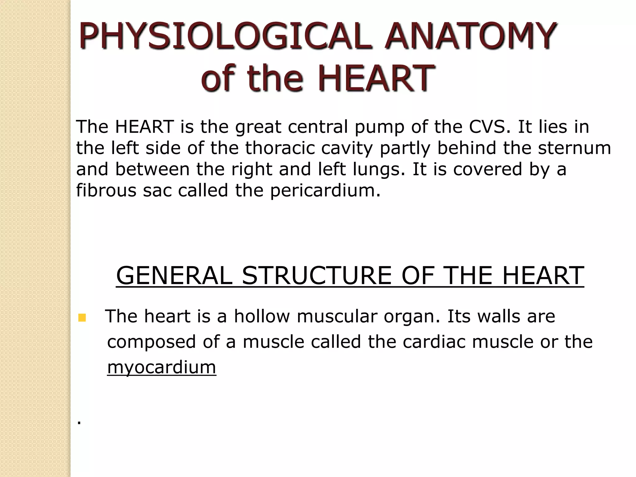 PHYSIOLOGICAL ANATOMY
of the HEART
The HEART is the great central pump of the CVS. It lies in
the left side of the thoracic cavity partly behind the sternum
and between the right and left lungs. It is covered by a
fibrous sac called the pericardium.
GENERAL STRUCTURE OF THE HEART
The heart is a hollow muscular organ. Its walls are
composed of a muscle called the cardiac muscle or the
myocardium
.
 