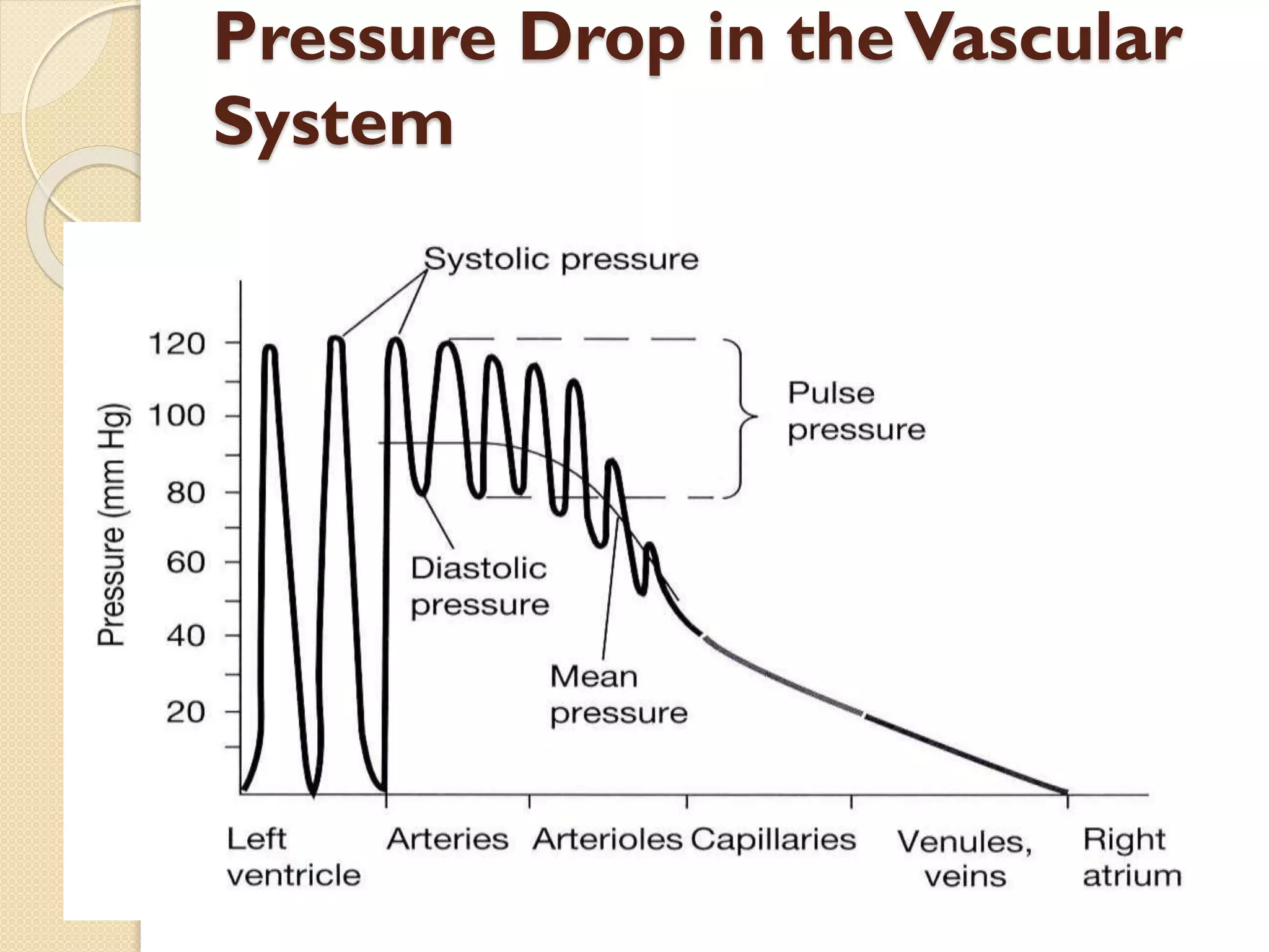 Pressure Drop in theVascular
System
 