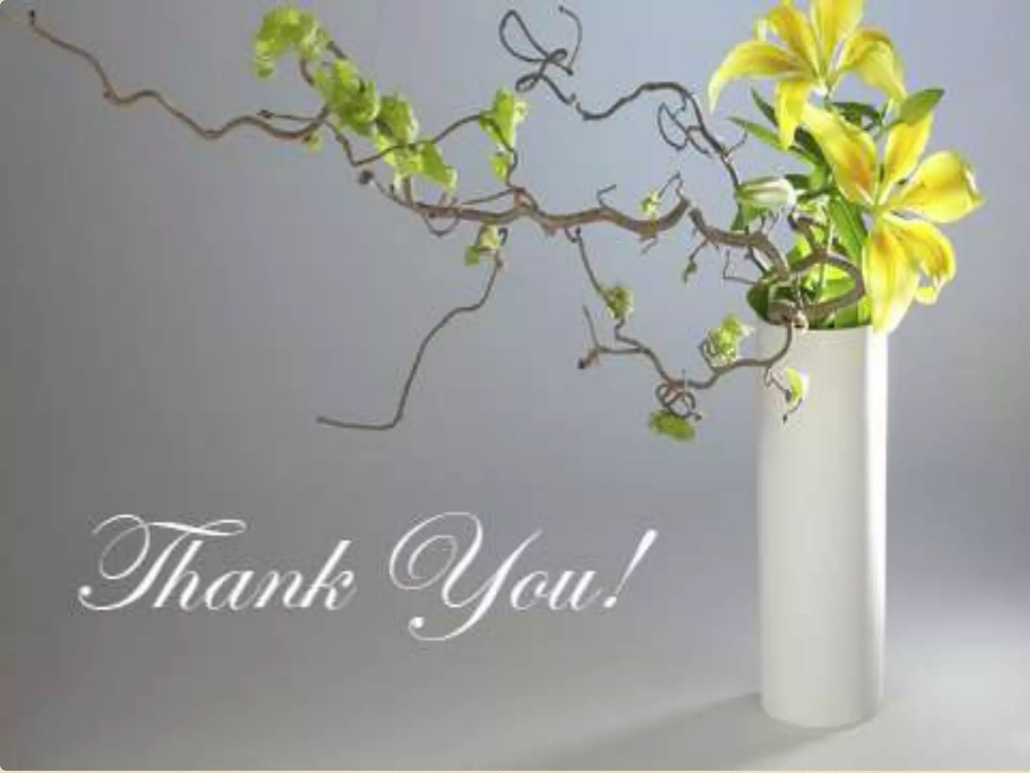 Physiologyofheart 140406090507-phpapp01