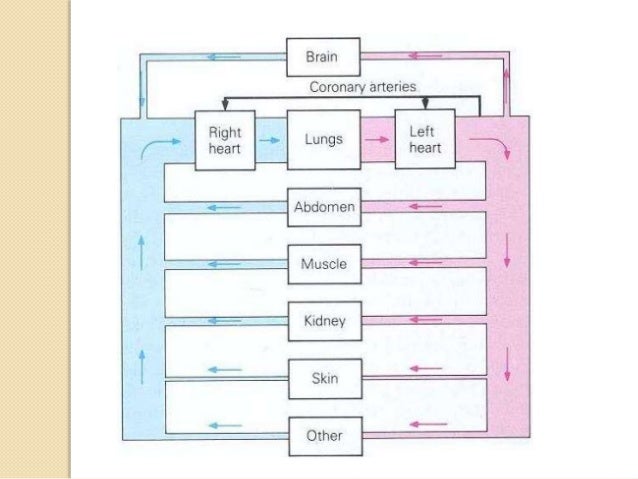 Ali ghodsi thesis