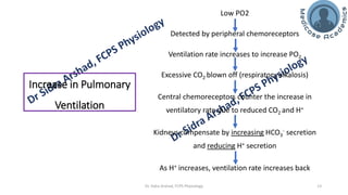 The Physiology of High Altitude Exposure