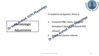 The Physiology of High Altitude Exposure