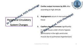 The Physiology of High Altitude Exposure