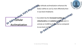 The Physiology of High Altitude Exposure