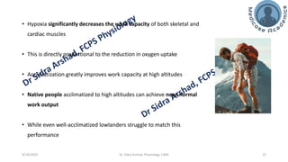 The Physiology of High Altitude Exposure