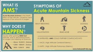 The Physiology of High Altitude Exposure