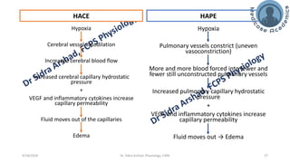 The Physiology of High Altitude Exposure