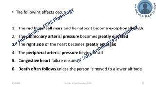 The Physiology of High Altitude Exposure