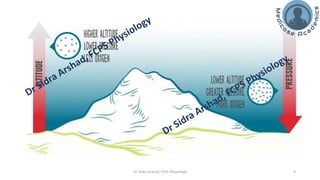 The Physiology of High Altitude Exposure