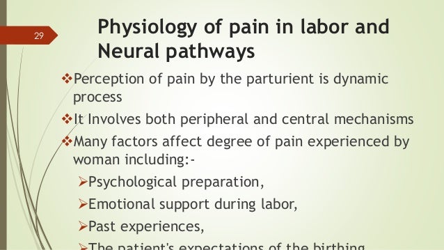 physiology of labor and pain pathways physiology of labor