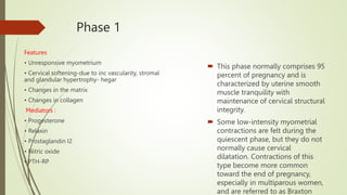 Phase 1
Features
• Unresponsive myometrium
• Cervical softening-due to inc vascularity, stromal
and glandular hypertrophy- hegar
• Changes in the matrix
• Changes in collagen
Mediators :
• Progesterone
• Relaxin
• Prostaglandin I2
• Nitric oxide
• PTH-RP
 This phase normally comprises 95
percent of pregnancy and is
characterized by uterine smooth
muscle tranquility with
maintenance of cervical structural
integrity.
 Some low-intensity myometrial
contractions are felt during the
quiescent phase, but they do not
normally cause cervical
dilatation. Contractions of this
type become more common
toward the end of pregnancy,
especially in multiparous women,
and are referred to as Braxton
 