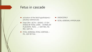 Fetus in cascade
 activation of the fetal hypothalamic–
pituitary–adrenal axis
 Fetal CRH– ACTH – DHEAS –17 OH
DHEAS BY FETAL LIVER-- ESTRIOL BY
PLACENTA- PGF2 ….= OXY REC, PG
REC, GAP JN,
 FETAL ADRENAL-FETAL CORTISOL –
PG , OXY BY PLA .
 ANENCEPALY
 FETAL ADRENAL HYPOPLASIA
 