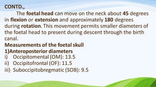 PHYSIOLOGY OF LABOUR.pptx bsc nursing obg | PPTX