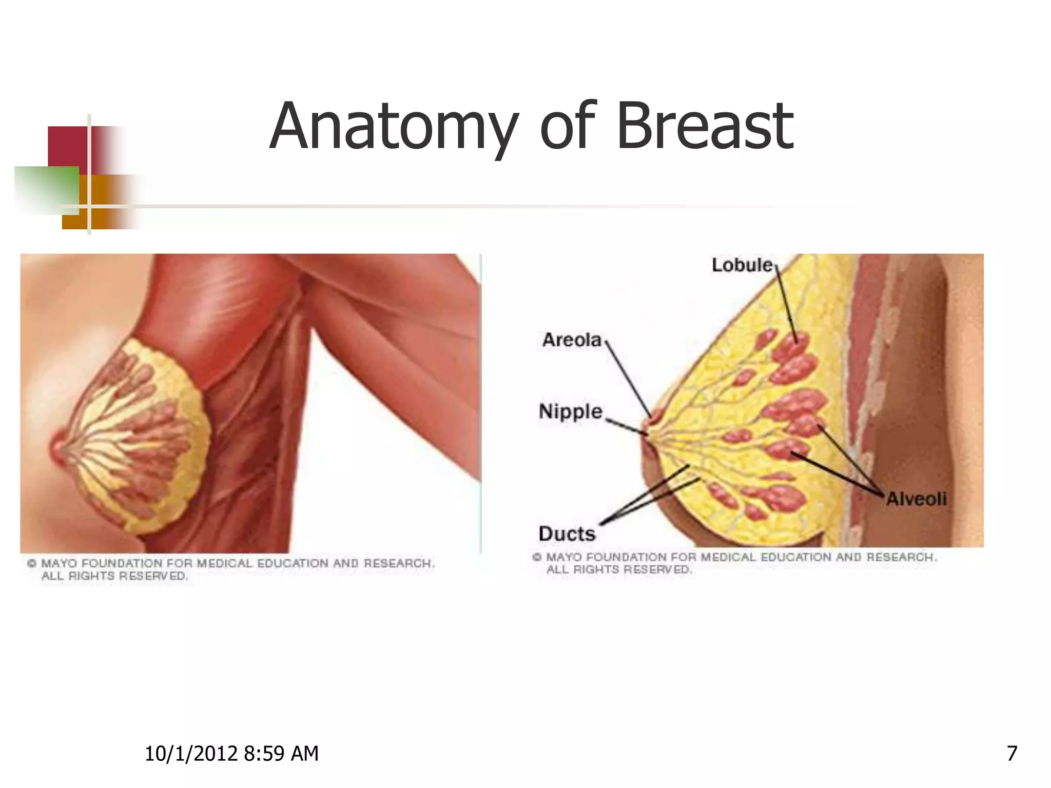 Anatomy of Breast




10/1/2012 8:59 AM               7
 