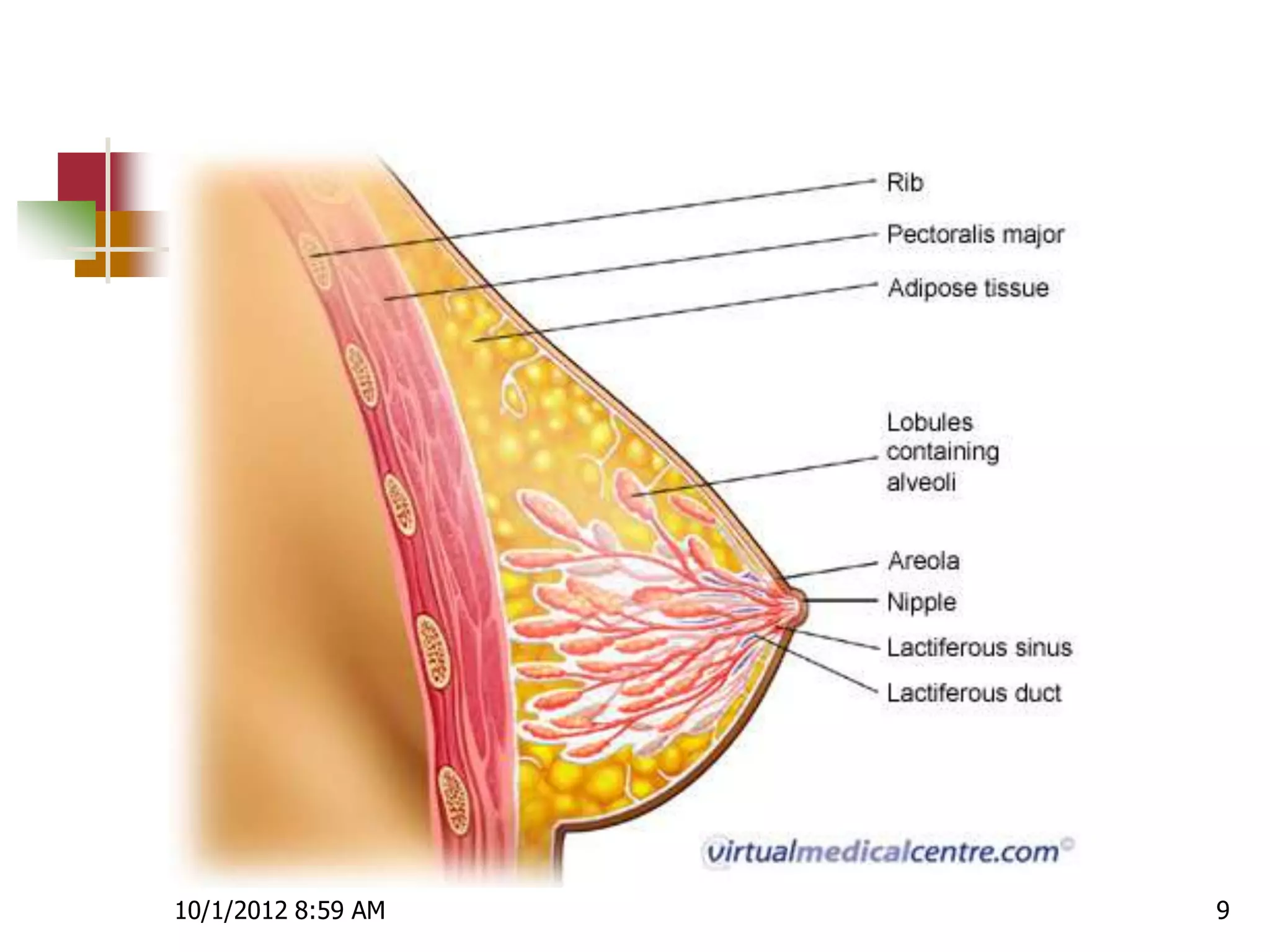 10/1/2012 8:59 AM   9
 