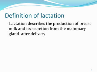 Lactation : définition et explications