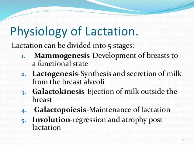 Physiology Of Lactation Physiology Of Lactation