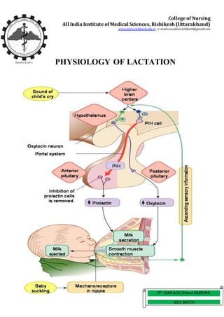Physiology of lactation | PDF