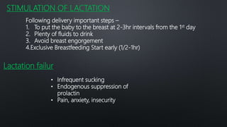 Physiology of lactation PPTX