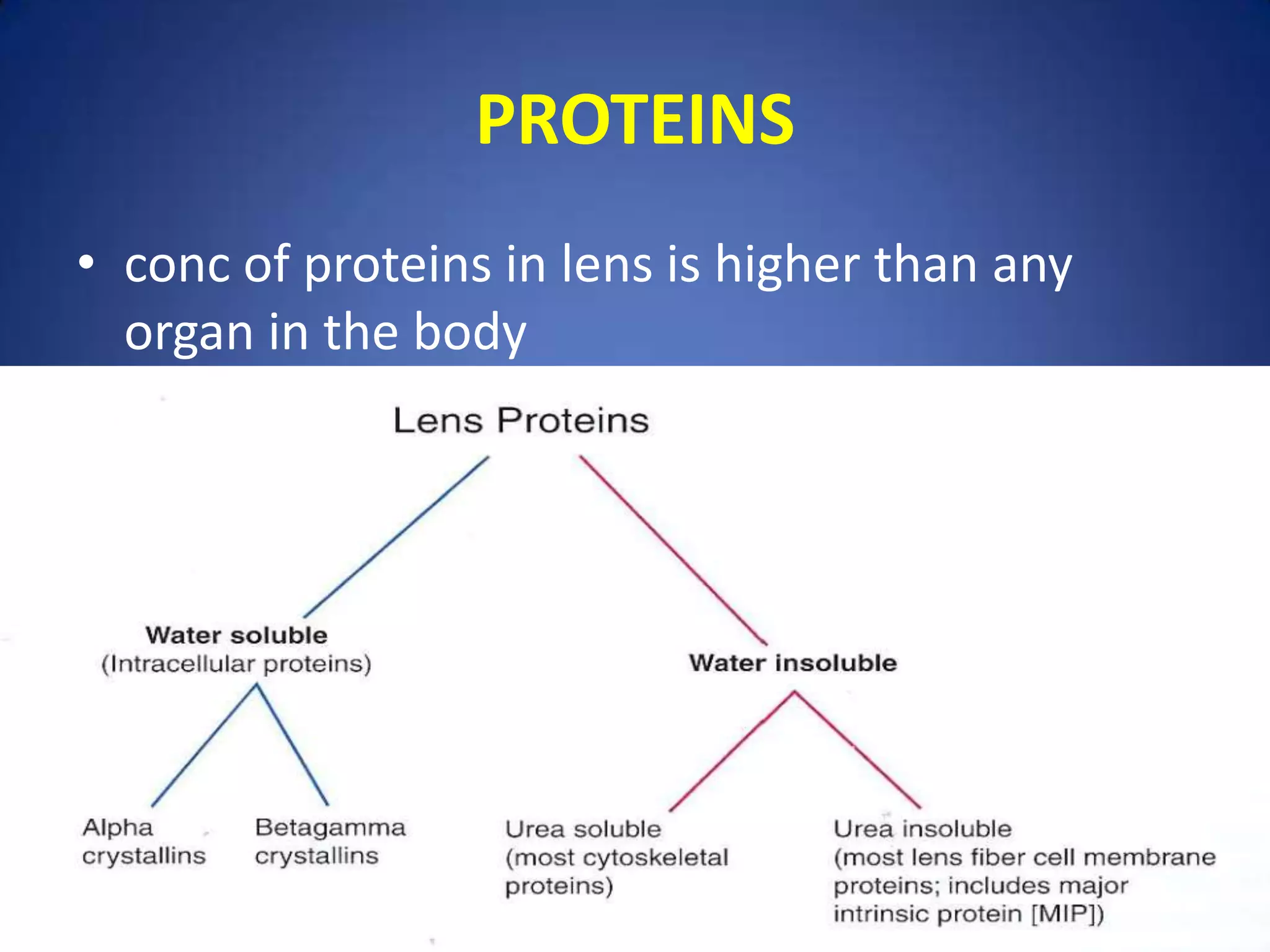 Physiology of lens and cataractogenesis sivateja PPT