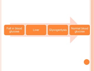 Fall in blood
glucose
Liver Glycogenlysis
Normal blood
glucose
 