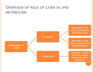 OVERVIEW OF ROLE OF LIVER IN LIPID
METABOLISM
Metabolism of
Lipids
Anabolism
Synthesis of de
novo cholesterol
and fatty acids
Synthesis of fat
from proteins and
carbohydrates
Catabolism
Oxidation of fatty
acids to supply
energy for body
functions
 