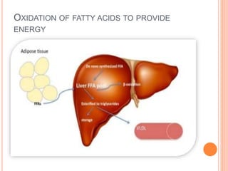 OXIDATION OF FATTY ACIDS TO PROVIDE
ENERGY
 