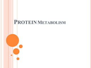 PROTEINMETABOLISM
 