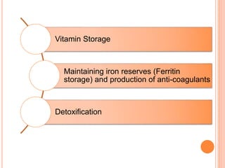 Vitamin Storage
Maintaining iron reserves (Ferritin
storage) and production of anti-coagulants
Detoxification
 