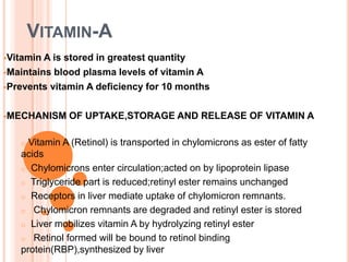 VITAMIN-A
Vitamin A is stored in greatest quantity
Maintains blood plasma levels of vitamin A
Prevents vitamin A deficiency for 10 months
MECHANISM OF UPTAKE,STORAGE AND RELEASE OF VITAMIN A
o Vitamin A (Retinol) is transported in chylomicrons as ester of fatty
acids
o Chylomicrons enter circulation;acted on by lipoprotein lipase
o Triglyceride part is reduced;retinyl ester remains unchanged
o Receptors in liver mediate uptake of chylomicron remnants.
o Chylomicron remnants are degraded and retinyl ester is stored
o Liver mobilizes vitamin A by hydrolyzing retinyl ester
o Retinol formed will be bound to retinol binding
protein(RBP),synthesized by liver
 