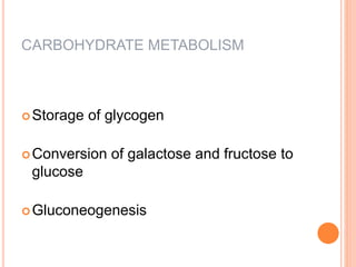 CARBOHYDRATE METABOLISM
Storage of glycogen
Conversion of galactose and fructose to
glucose
Gluconeogenesis
 