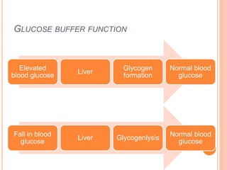 GLUCOSE BUFFER FUNCTION
Elevated
blood glucose
Liver
Glycogen
formation
Normal blood
glucose
Fall in blood
glucose
Liver Glycogenlysis
Normal blood
glucose
 