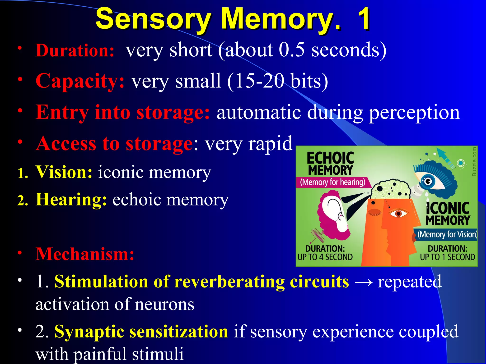 11..Sensory MemorySensory Memory
• Duration: very short (about 0.5 seconds)
• Capacity: very small (15-20 bits)
• Entry into storage: automatic during perception
• Access to storage: very rapid
1. Vision: iconic memory
2. Hearing: echoic memory
• Mechanism:
• 1. Stimulation of reverberating circuits → repeated
activation of neurons
• 2. Synaptic sensitization if sensory experience coupled
with painful stimuli
 