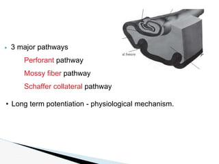 Physiology of memory & learning. | PPTX