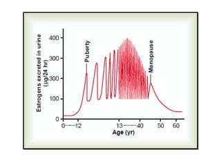 Physiology of Menopause