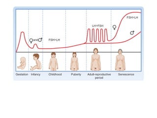 Physiology of Menopause