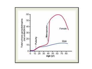 Physiology of Menopause