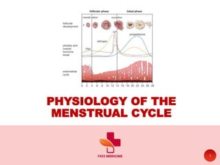 PHYSIOLOGY OF THE
MENSTRUAL CYCLE
1
 