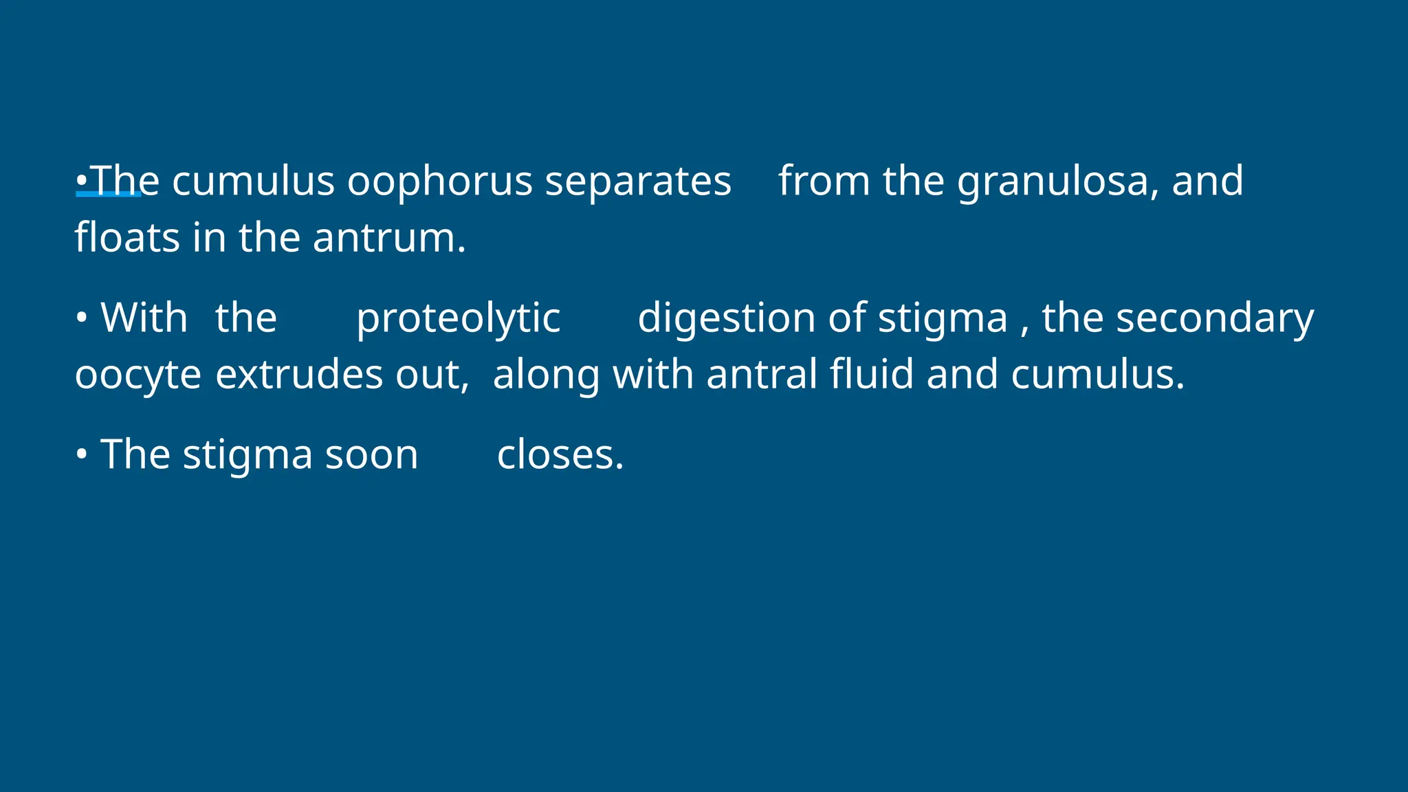 •The cumulus oophorus separates from the granulosa, and
floats in the antrum.
• With the proteolytic digestion of stigma , the secondary
oocyte extrudes out, along with antral fluid and cumulus.
• The stigma soon closes.
 