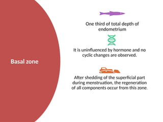 Basel Zone PHYSIOLOGY OF MENSTRUATION AND INTRODUCTION TO MENSTRUAL DISORDER.pptx