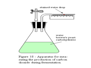 Physiology of microorganism 1 | PPTX