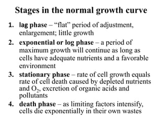 Normal Cell Growth Graph Physiology of microorganism 1 | PPTX