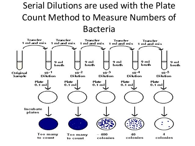 Advantage And Disadvantage Of The Serial Dilution Agar Plate Procedure