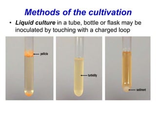 Methods of the cultivation
• Liquid culture in a tube, bottle or flask may be
inoculated by touching with a charged loop
 