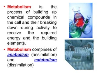 • Metabolism is the
process of building up
chemical compounds in
the cell and their breaking
down during activity to
receive the required
energy and the building
elements.
• Metabolism comprises of
anabolism (assimilation)
and catabolism
(dissimilation)
 