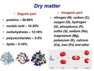 Dry matter
• Organic part
• proteins – 50-80%
• nucleic acid – 10-30%
• carbohydrates – 12-18%
• polysaccharides – 3-5%
• lipids – 5-10%.
• Inorganic part
• nitrogen (N), carbon (C),
oxygen (O), hydrogen
(H), phosphorus (P),
sulfur (S), sodium (Na),
magnesium (Mg),
potassium (K), calcium
(Ca), iron (Fe) and other
 