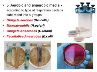 • 5. Aerobic and anaerobic media -
according to type of respiration bacteria
subdivided into 4 groups:
• Obligate aerobes (Brucella)
• Microaerophils (H.pylori)
• Obligate Anaerobes (C.tetani)
• Facultative Anaerobes (E.coli)
 
